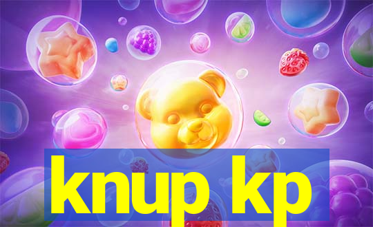 knup kp-t89 driver